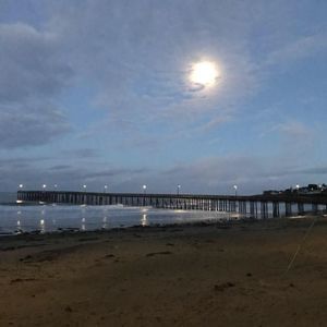 Meet your Posher, Ray